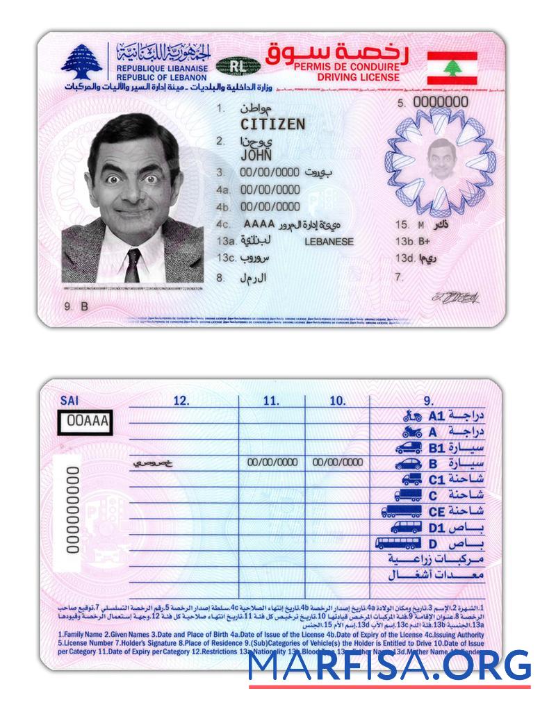 Printable Lebanon driving license sample